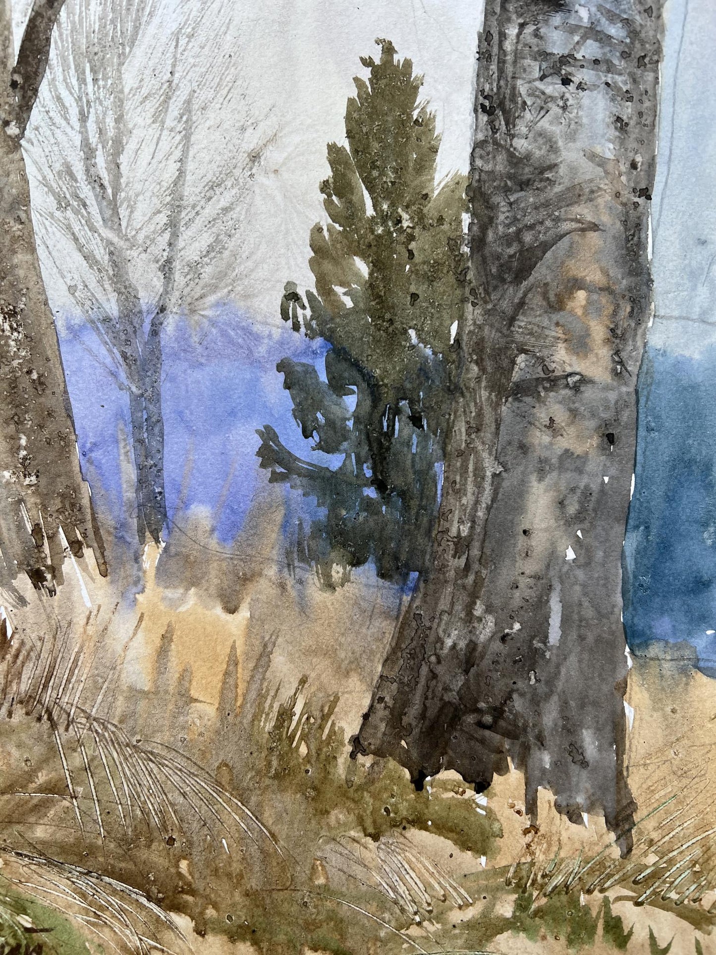 Watercolor painting Autumn Forest landscape