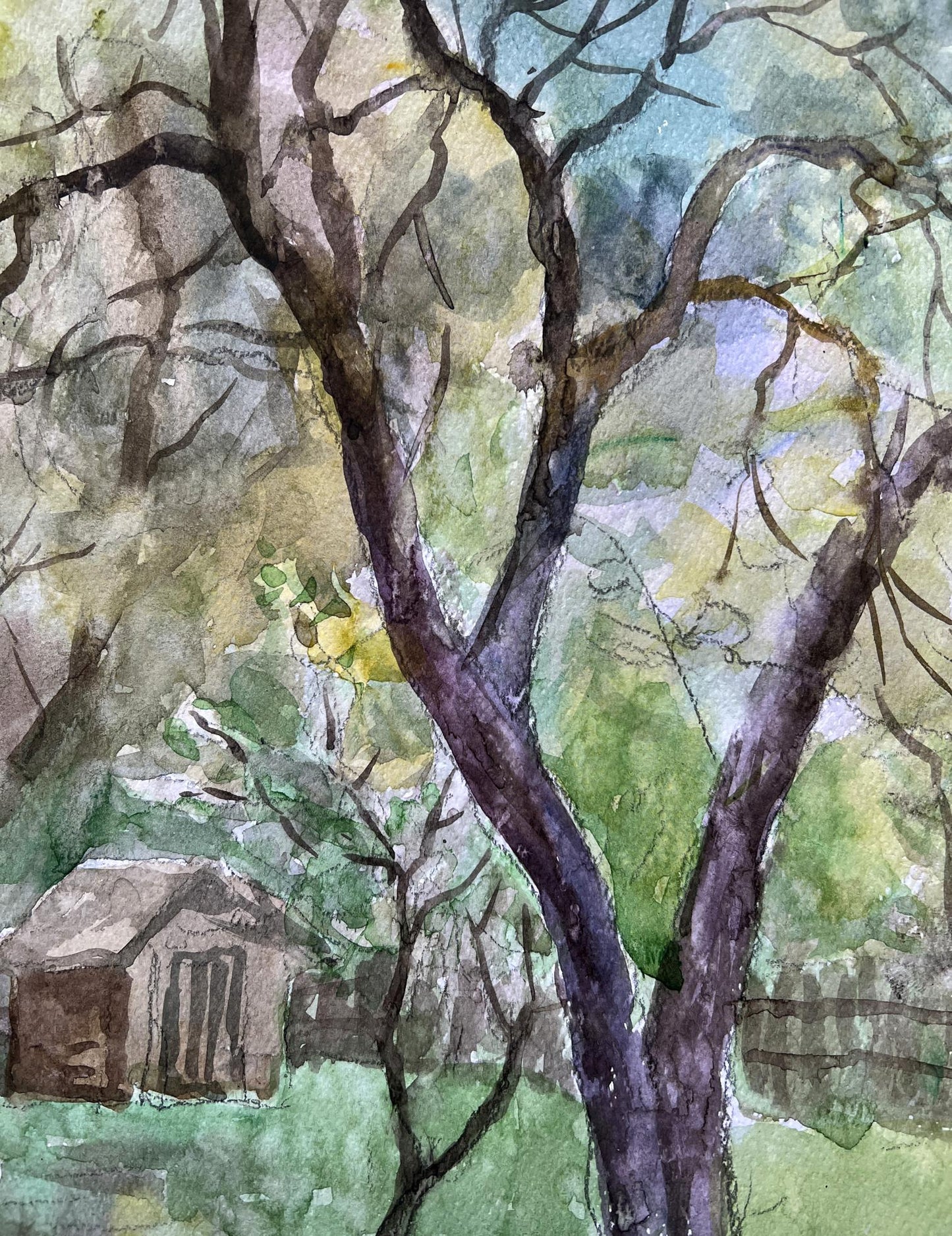 Rural landscape
