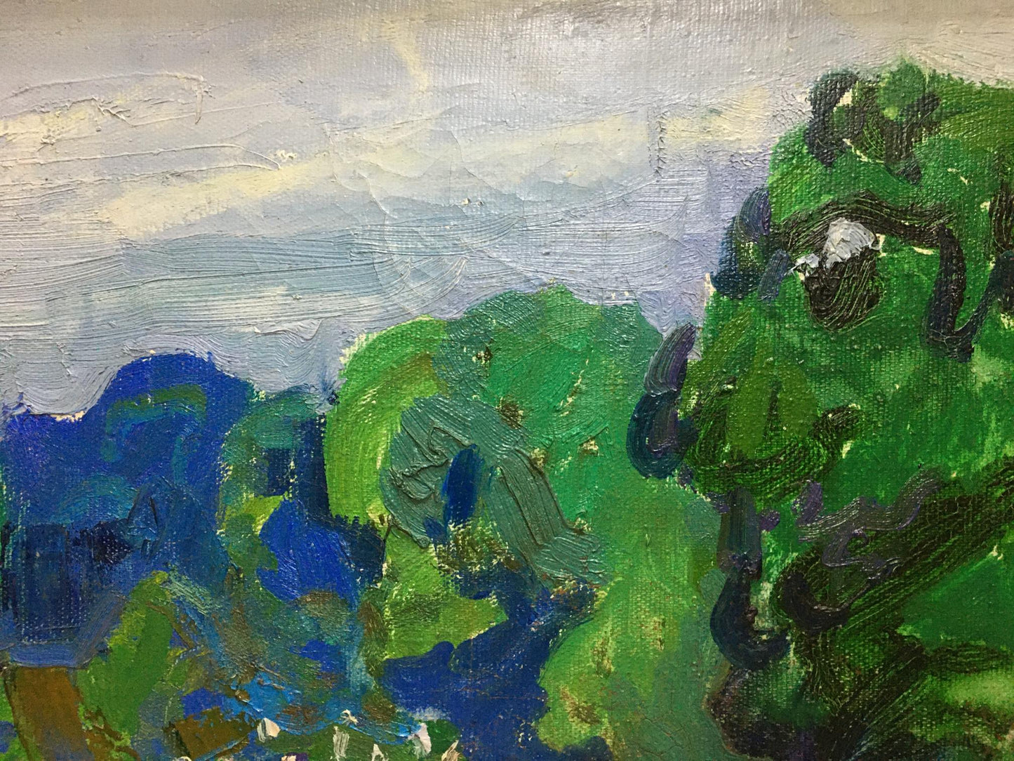 Oil painting Garden Glushchenko Nikolay Petrovich