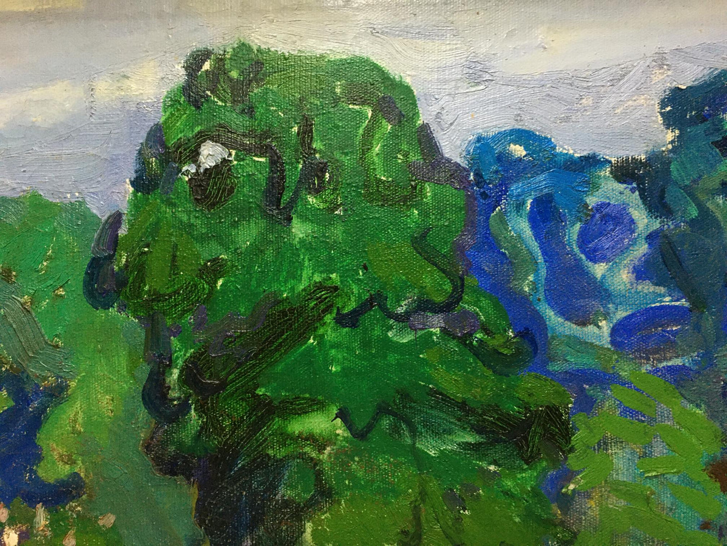 Oil painting Garden Glushchenko Nikolay Petrovich
