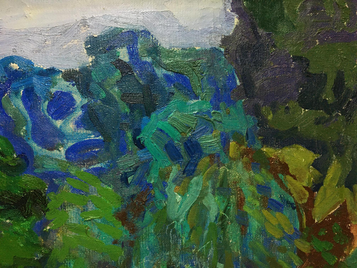 Oil painting Garden Glushchenko Nikolay Petrovich
