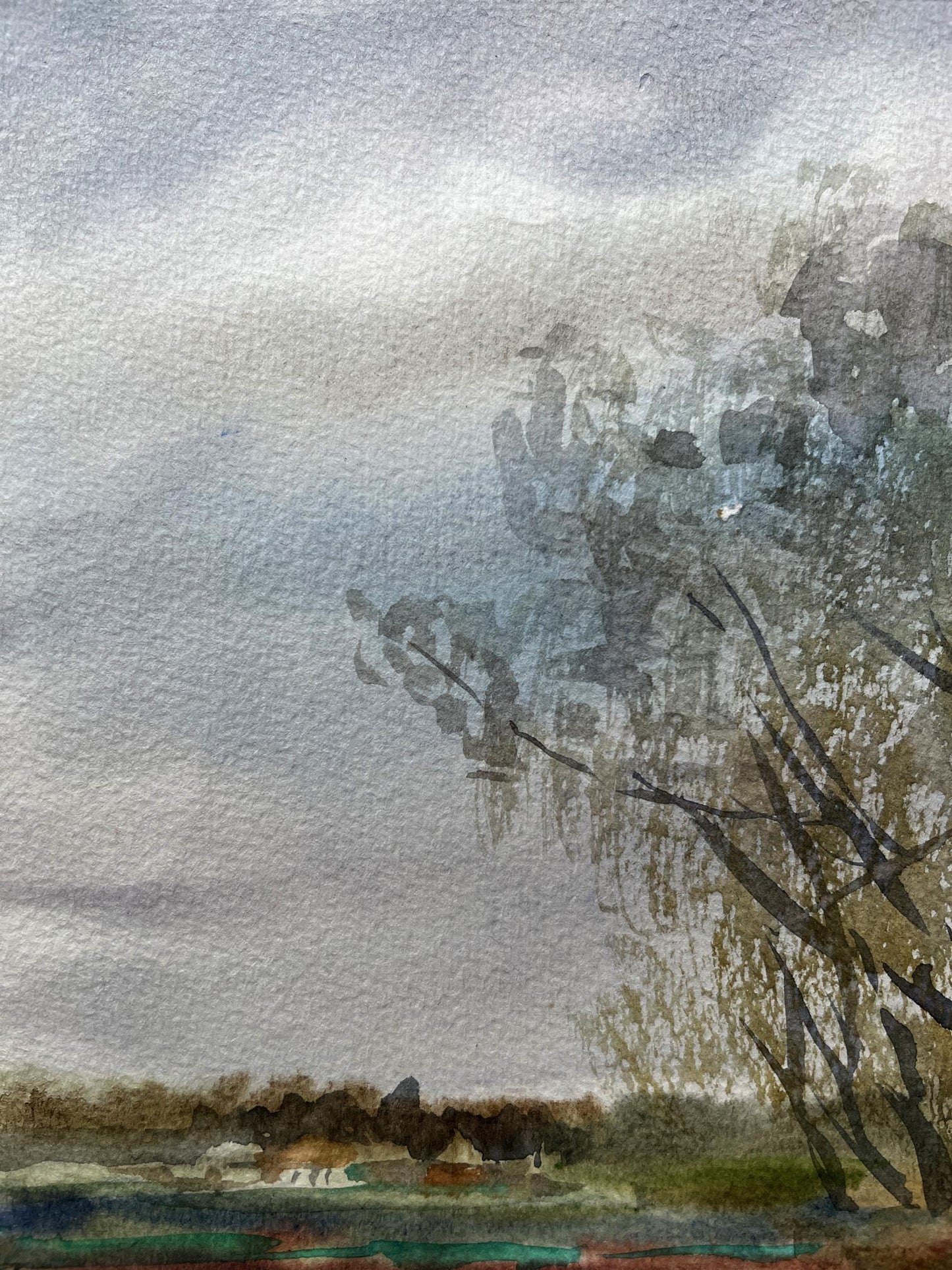 Watercolor painting poplars