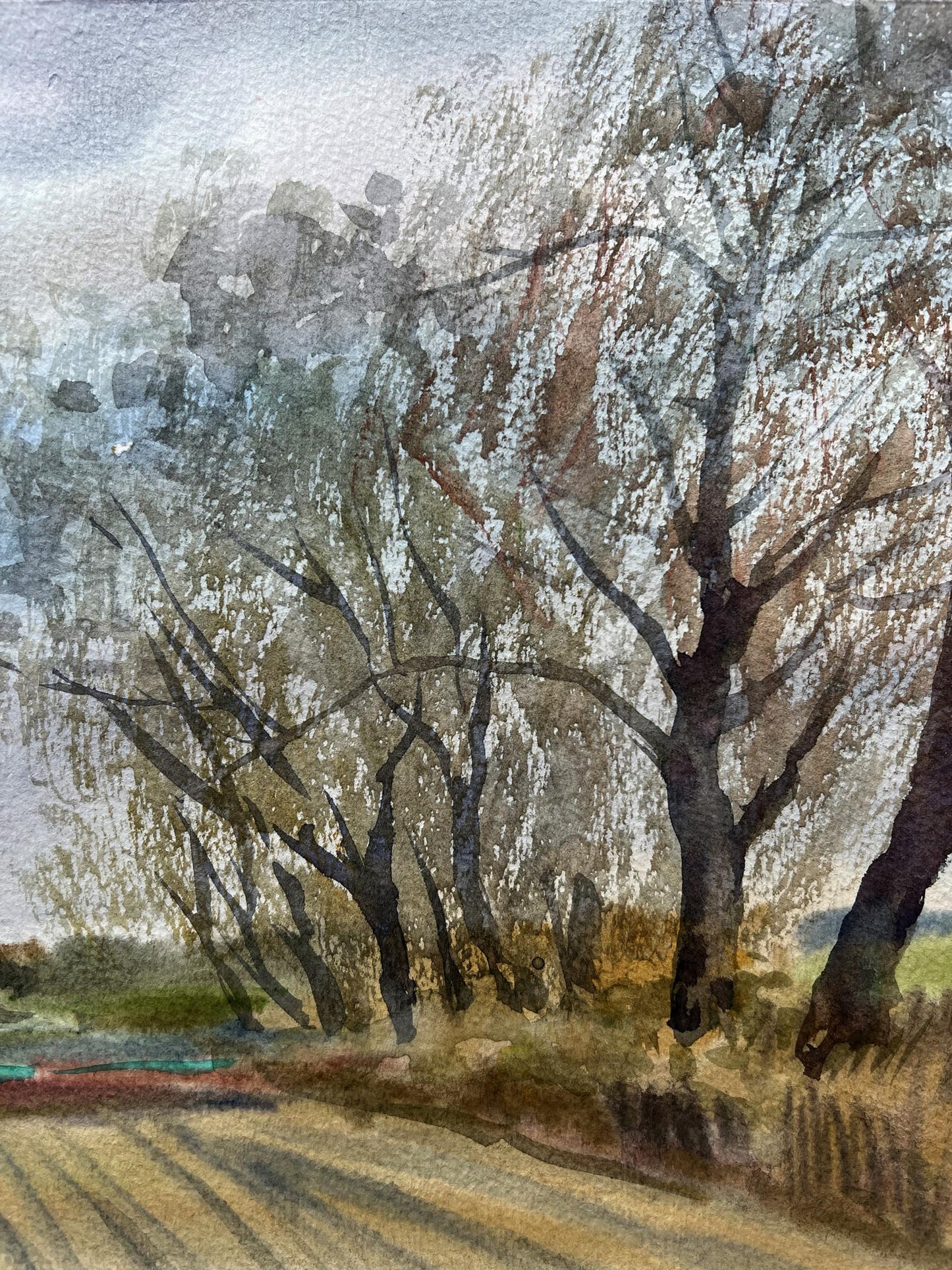Watercolor painting Nature Landscape
