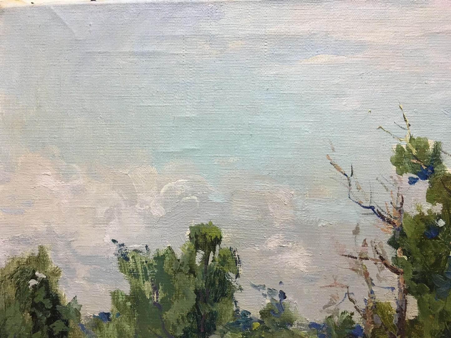 Oil painting Landscape Glushchenko Nikolay Petrovich