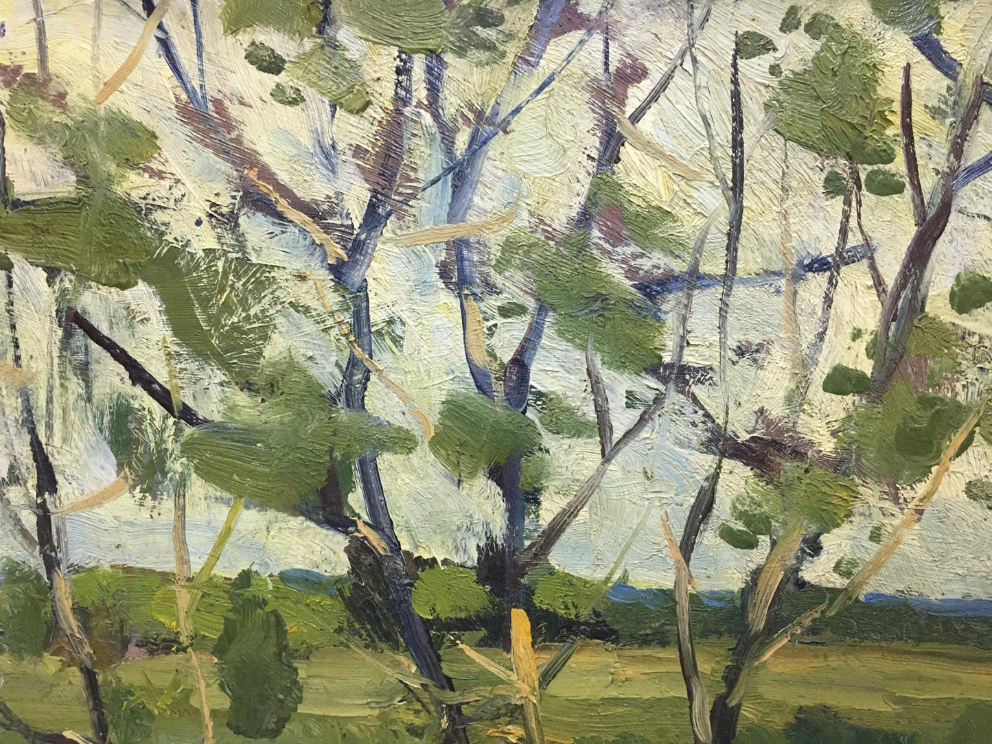 Oil painting In summer Polurezov G.I.