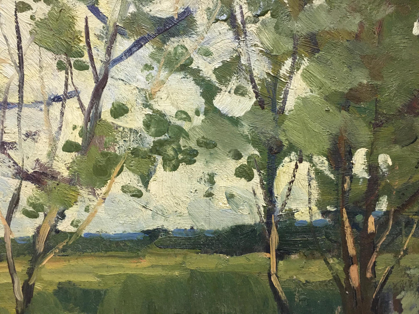 Oil painting In summer Polurezov G.I.