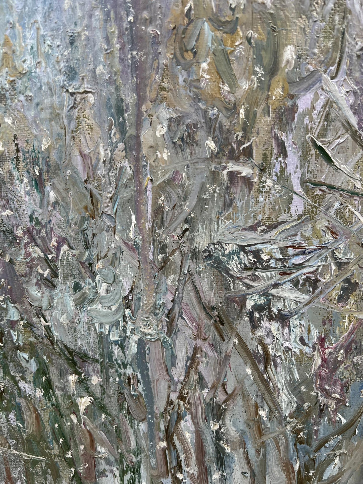 Winter Forest