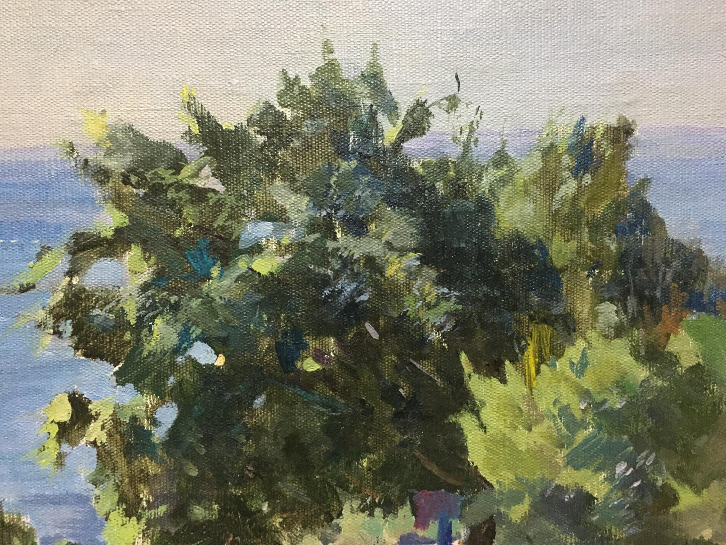 Oil painting Landscape near the coast Manyukov M.N.