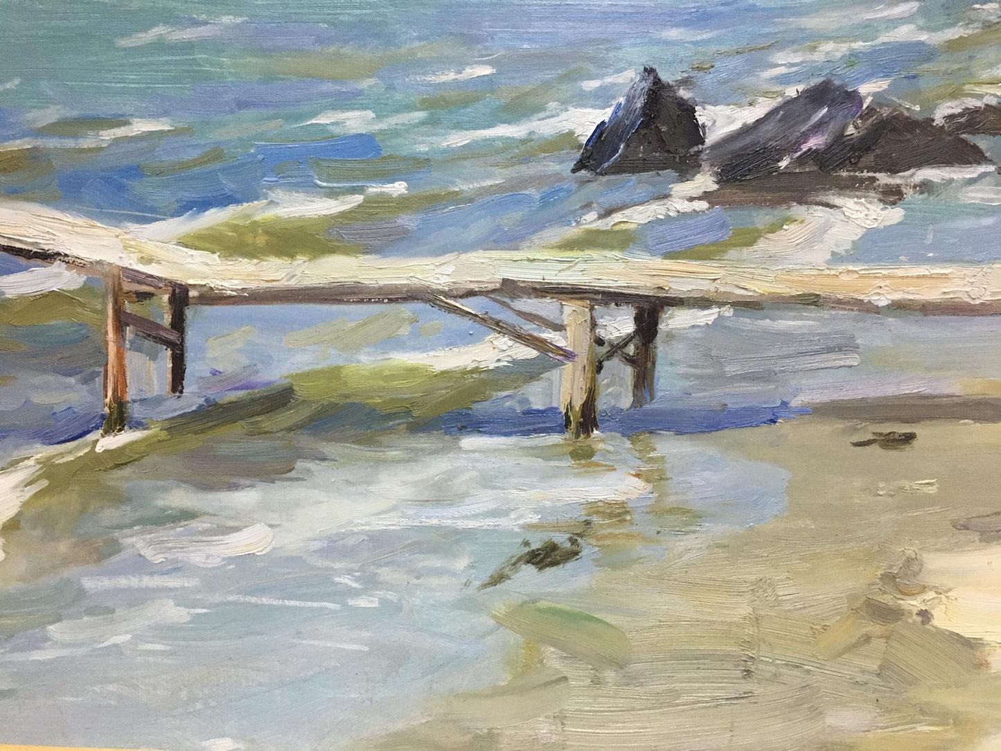 Oil painting Sea shore Dmitriev Alexander Vladimirovich