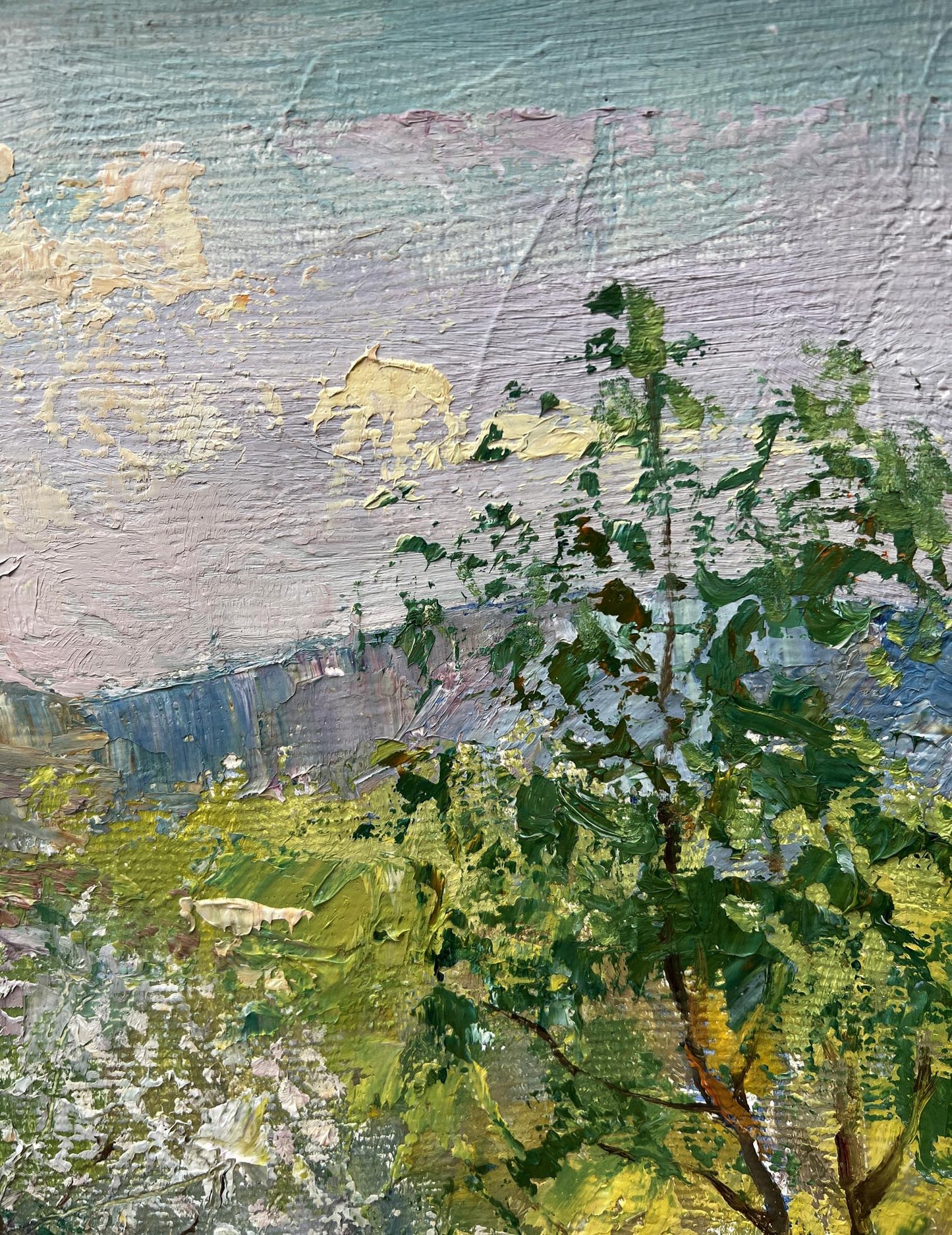 Spring countryside