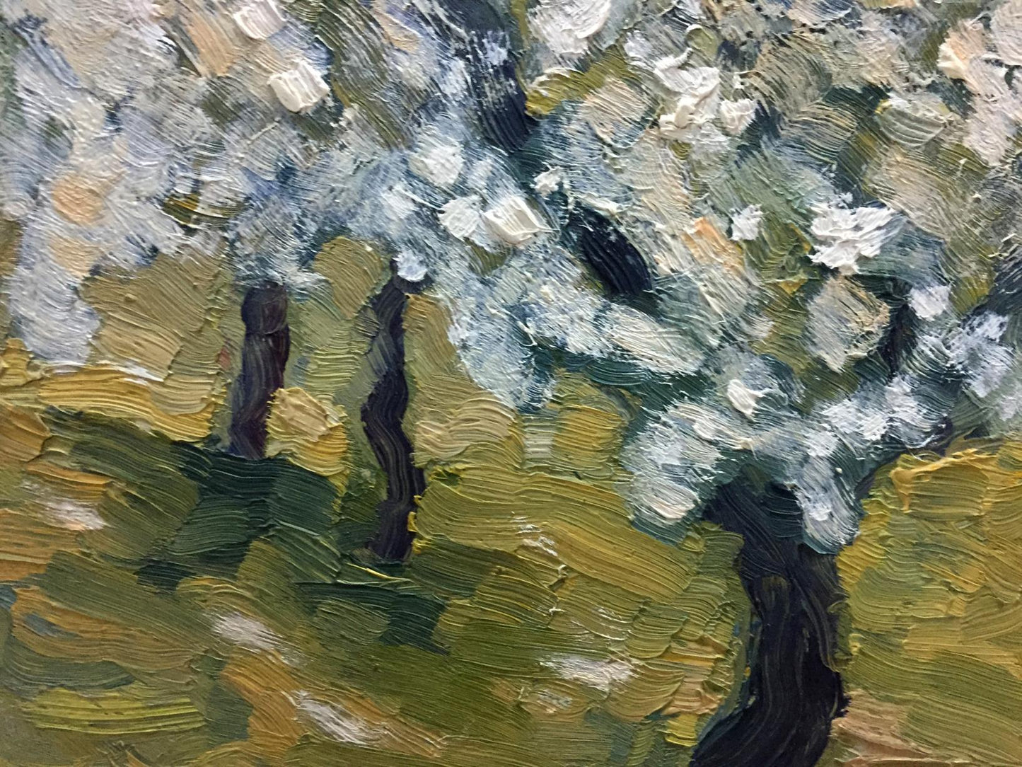 Oil painting Trees in the garden Dupliy Sergey Alexandrovich