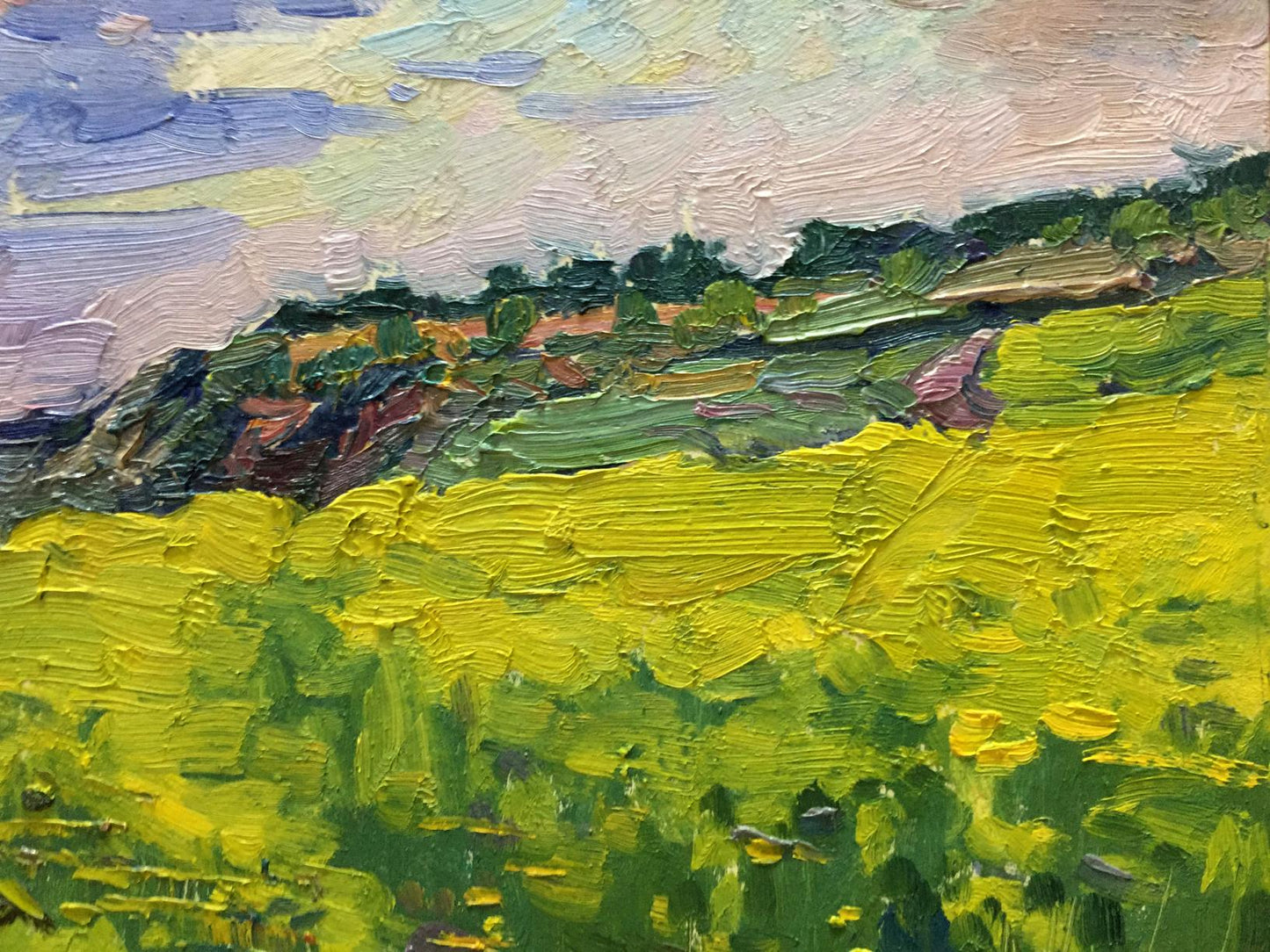 Oil painting Flower field Mordovets Andrey Nikitich