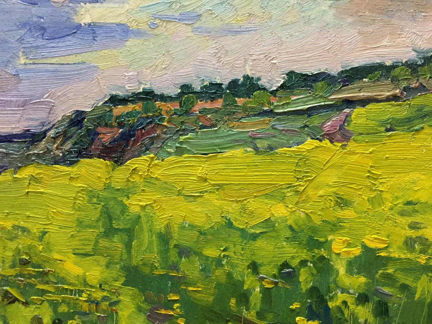 Oil painting Flower field Mordovets Andrey Nikitich