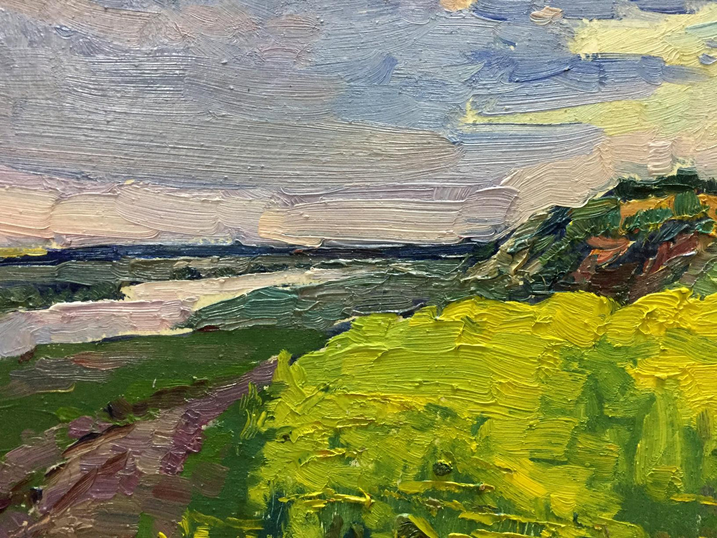 Oil painting Flower field Mordovets Andrey Nikitich