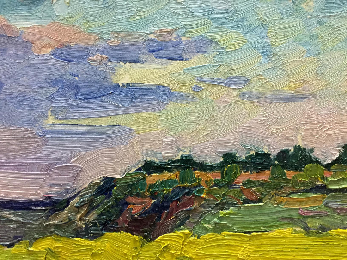 Oil painting Flower field Mordovets Andrey Nikitich