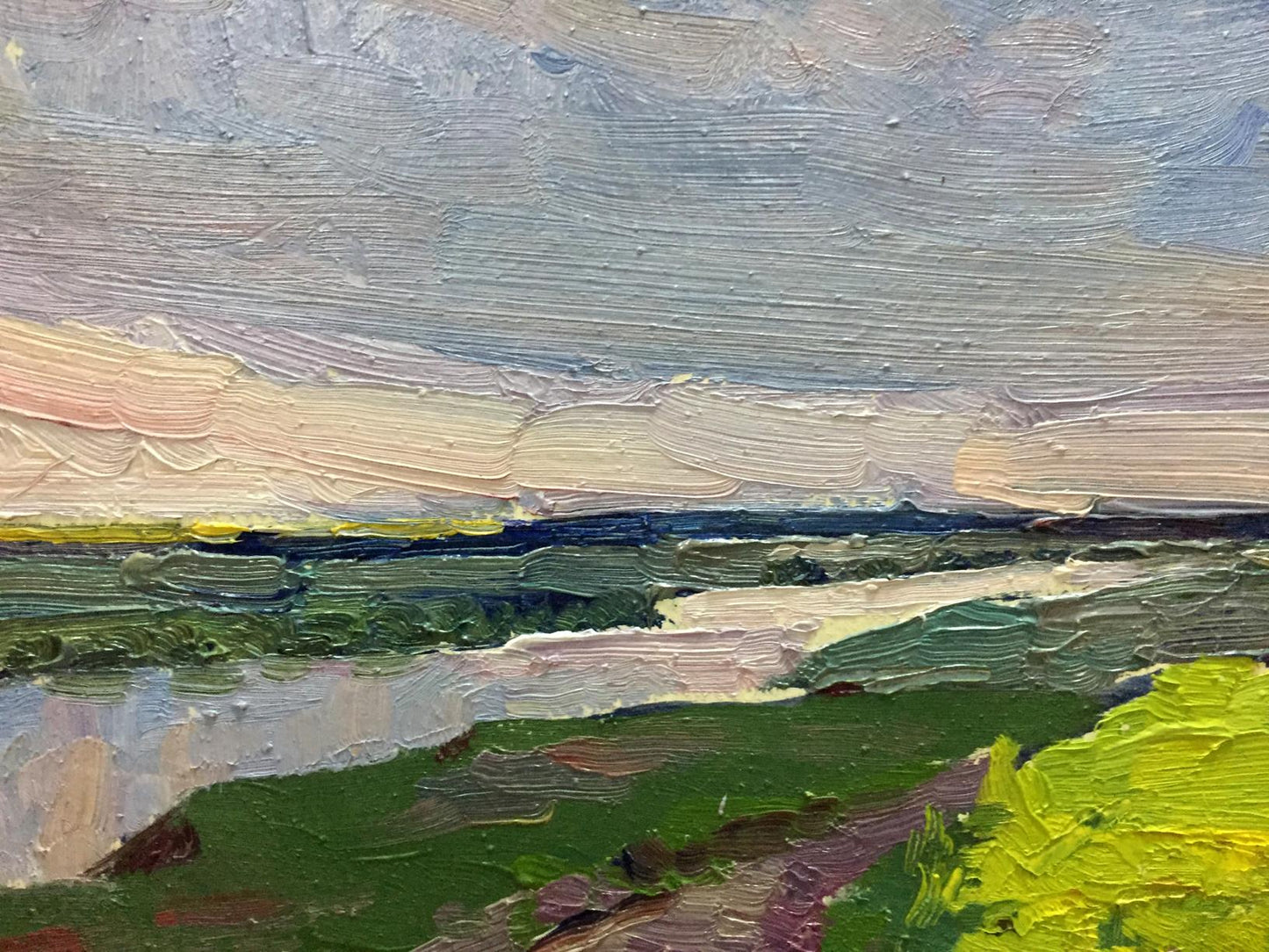 Oil painting Flower field Mordovets Andrey Nikitich