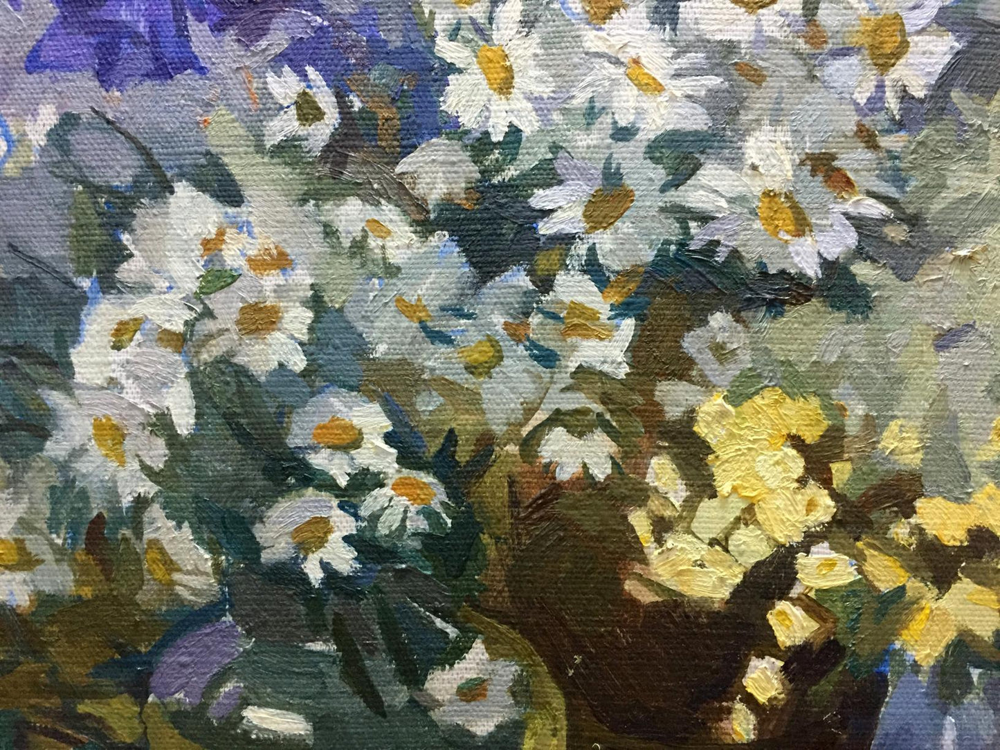 Oil painting Camomile Yukhno-Gurevich Anna Meerovna