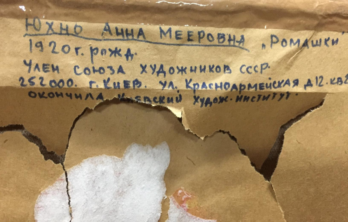 Oil painting Camomile Yukhno-Gurevich Anna Meerovna