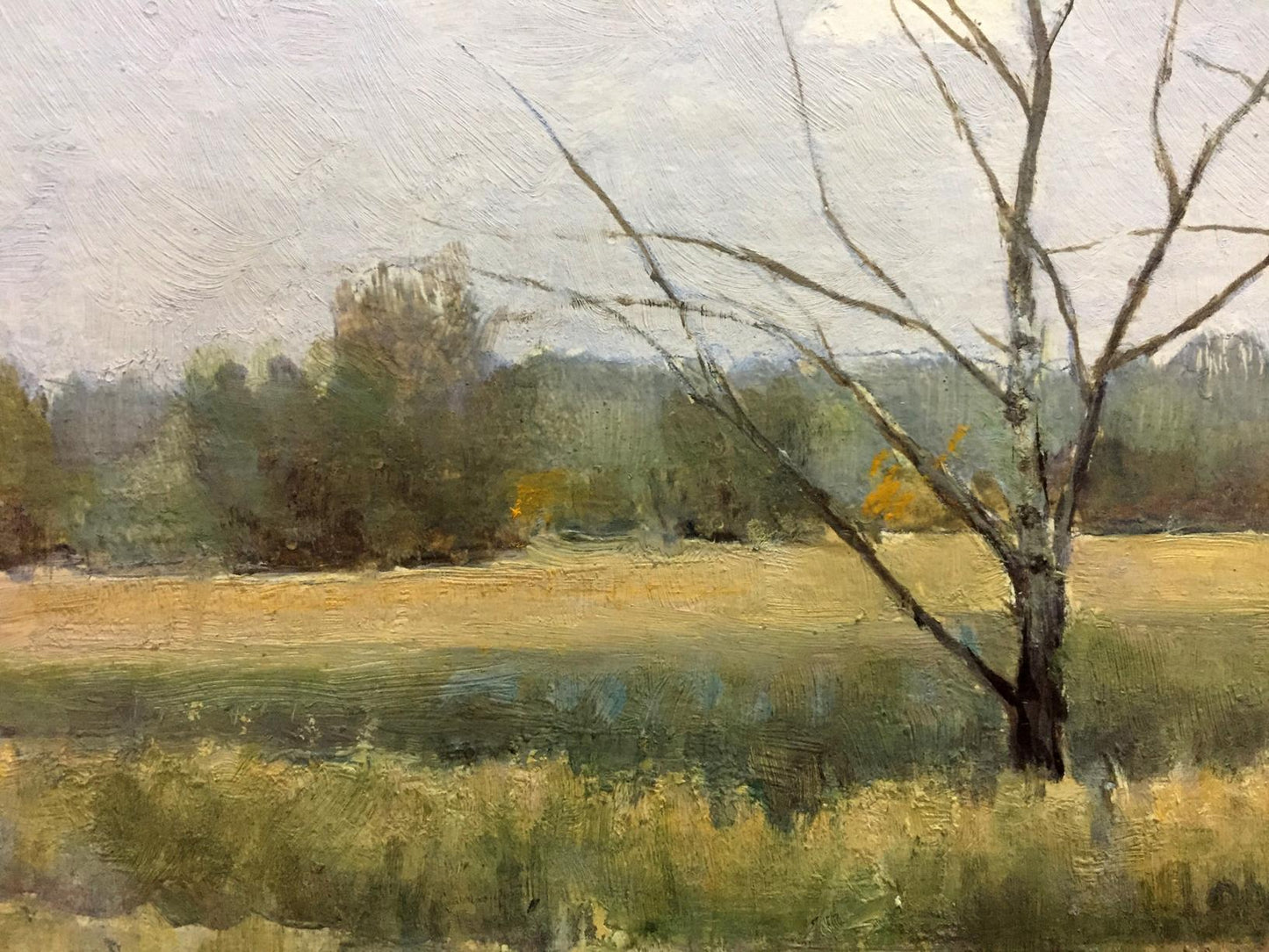 Oil painting Field near the forest Tereshchenko Vasily Alekseevich