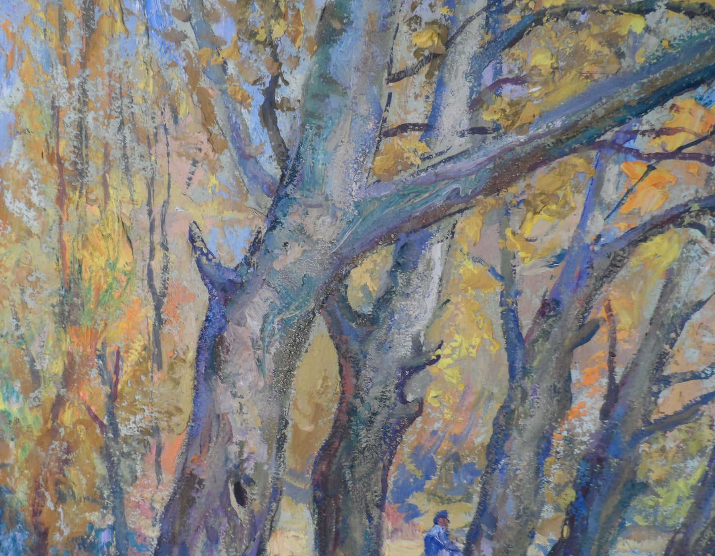 Autumn Forest