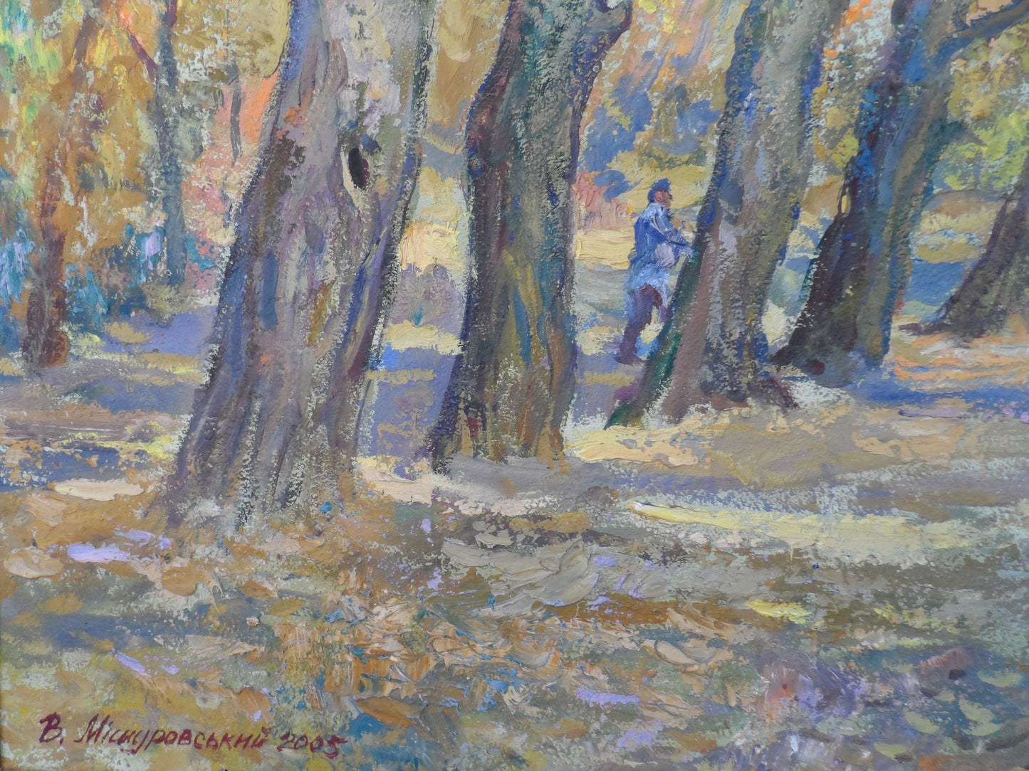 Forest landscape