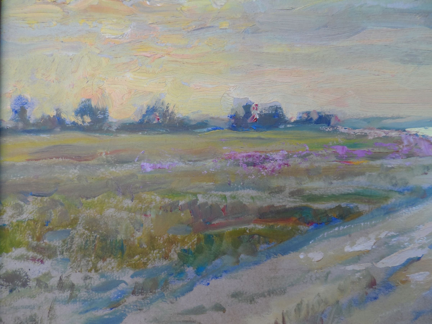 Nature Landscape