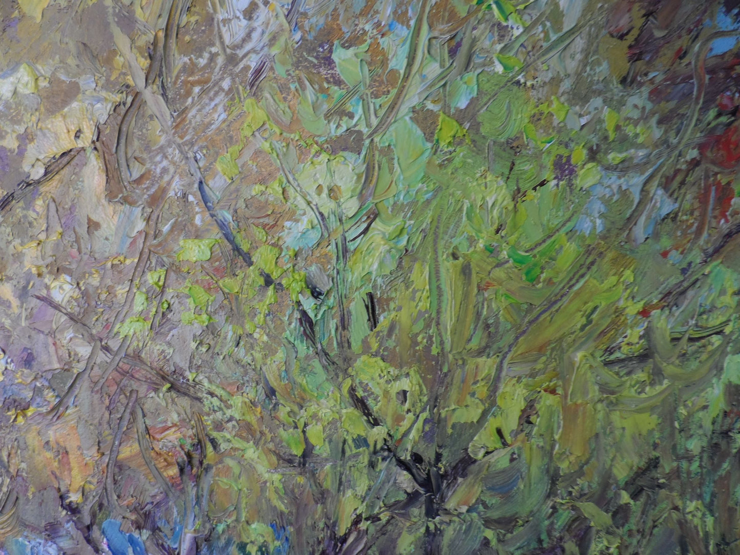 Autumn Forest