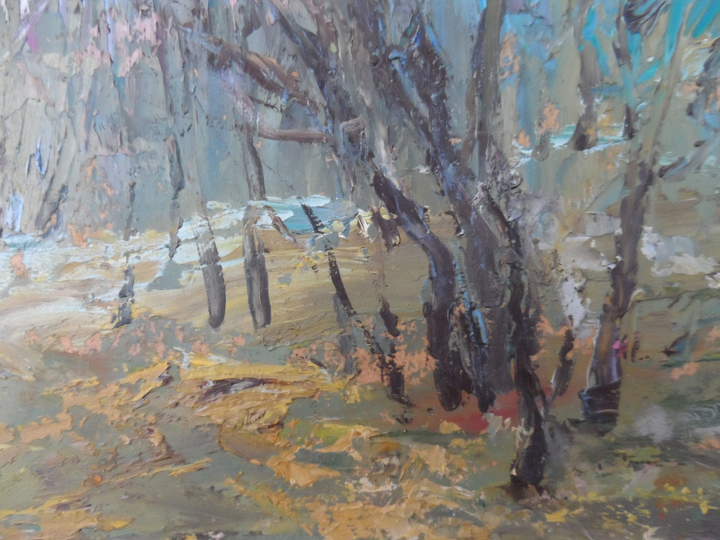 Autumn Forest