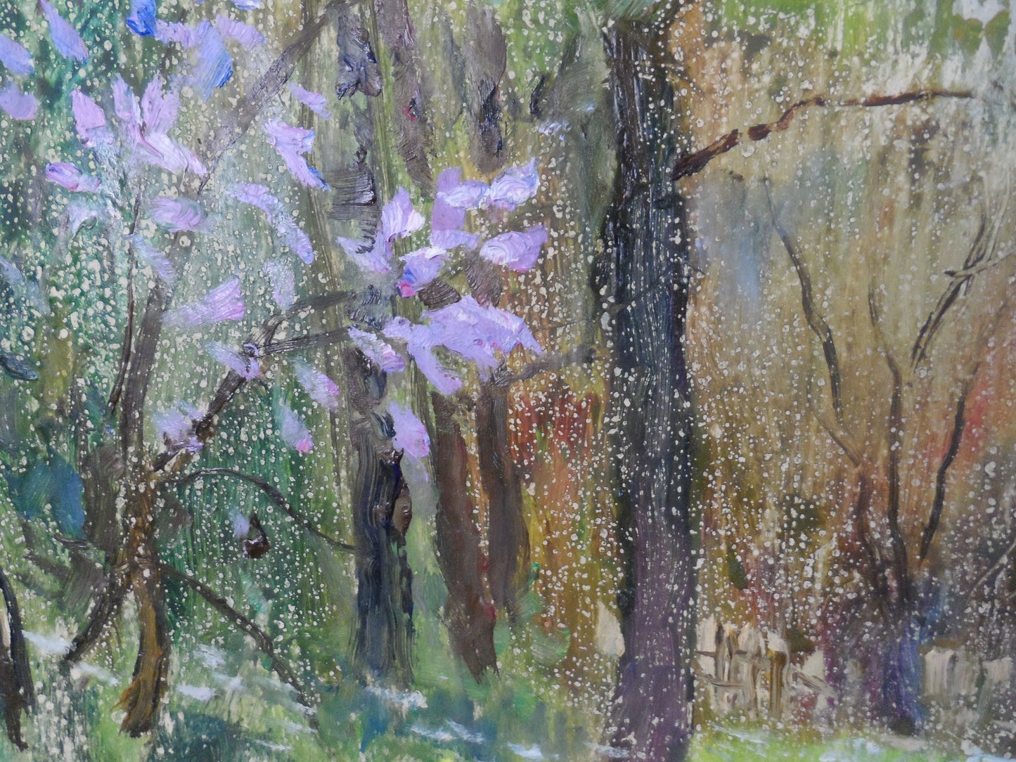 Mountain Forest landscape