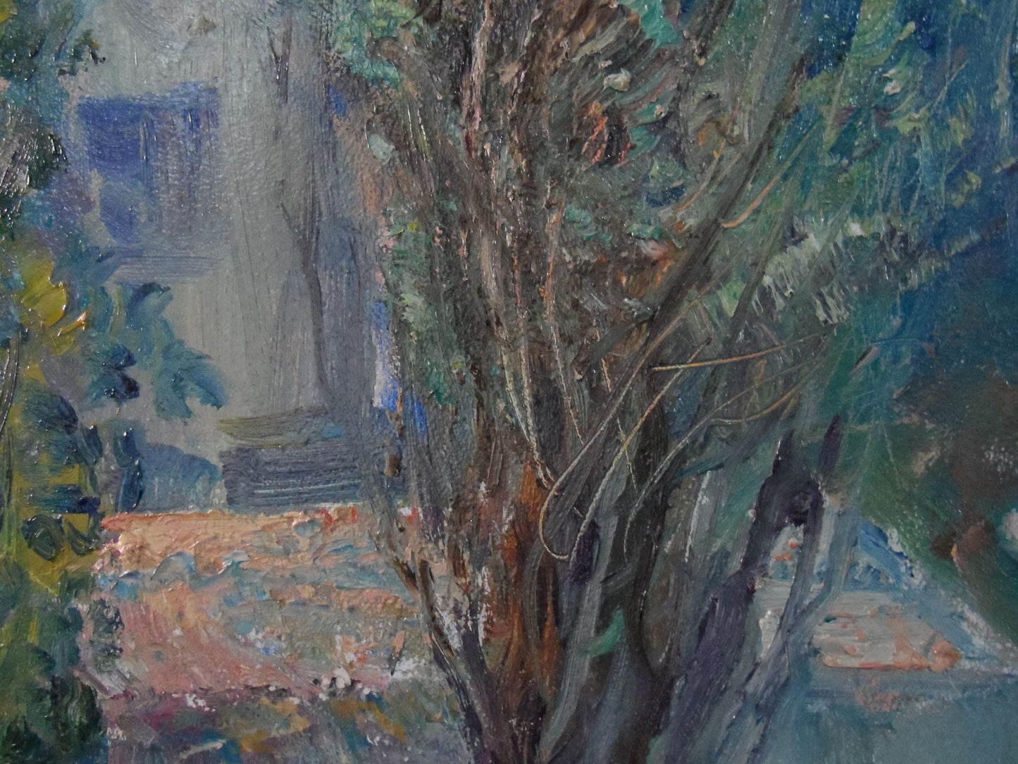 Summer Forest