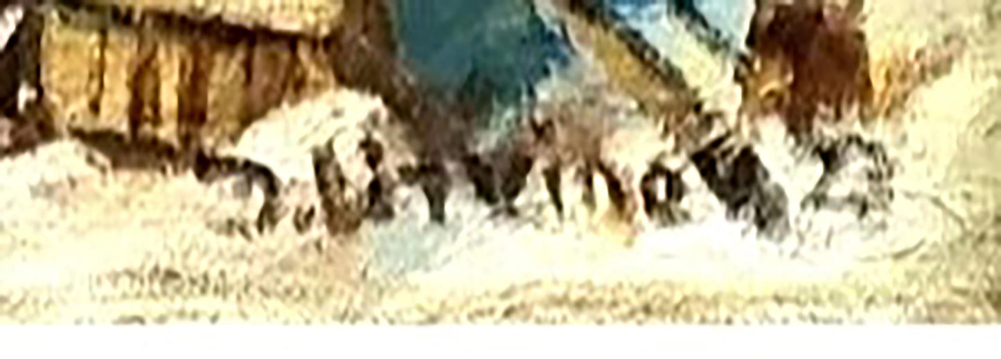 Carols in Ukrainian Village by Litvinov, capturing joyful village traditions.