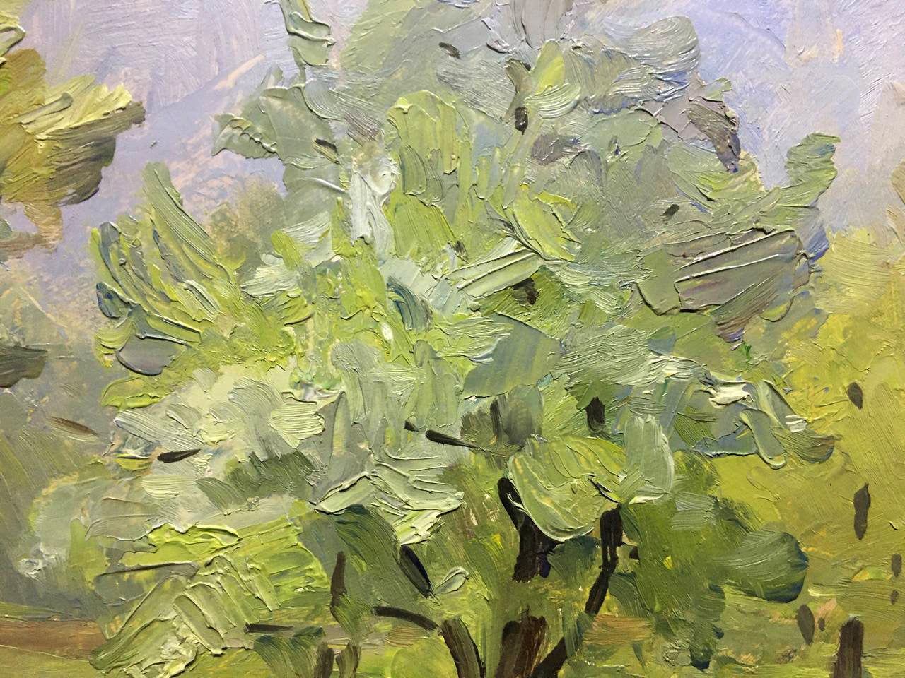 Oil painting Summer landscape Bloshenko Anatoly Mikhailovich