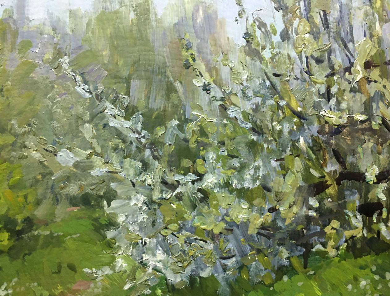 Oil painting Blooming May Bloshenko Anatoly Mikhailovich