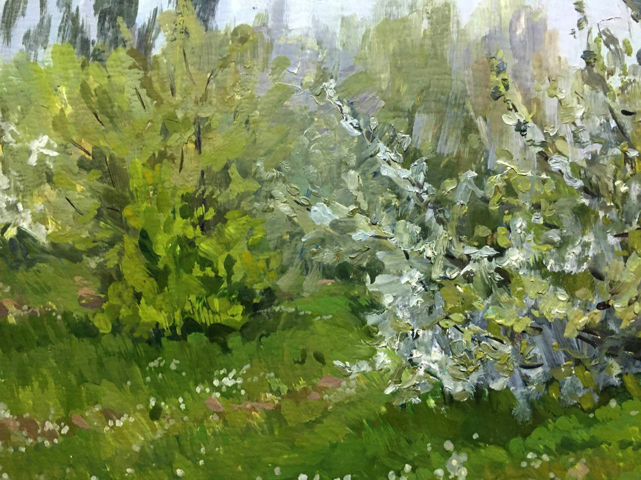 Oil painting Blooming May Bloshenko Anatoly Mikhailovich