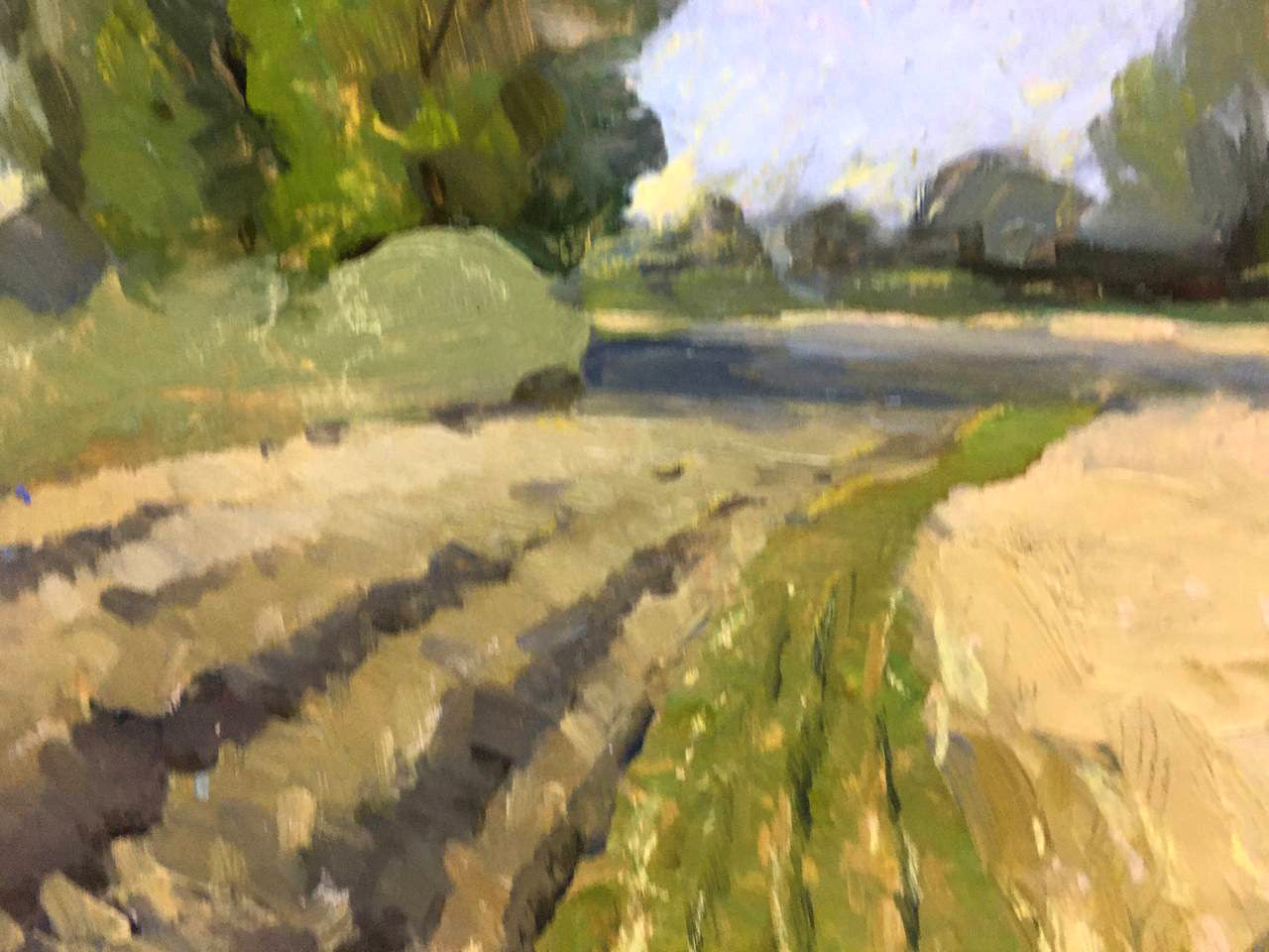 Oil painting Sunny summer day Bloshenko Anatoly Mikhailovich