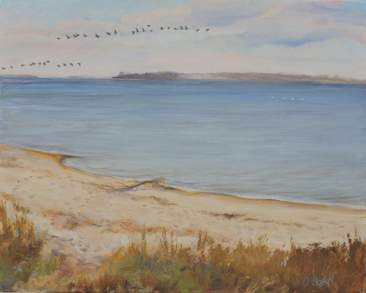 Oil painting Ochakov opposite Osnach Olesia