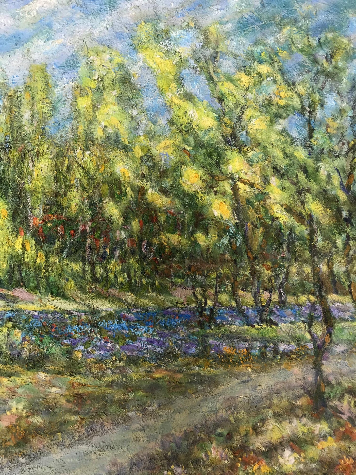 Nature Landscape 