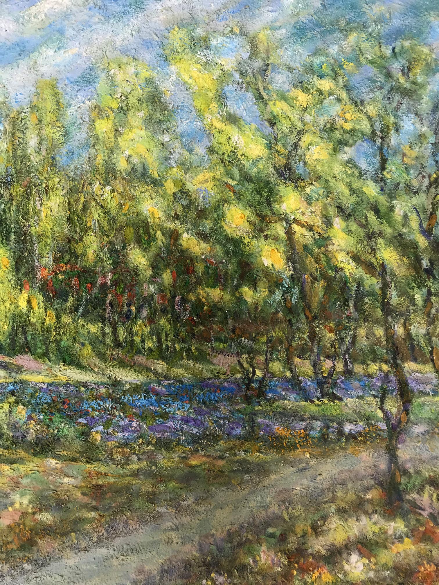 Nature Landscape 