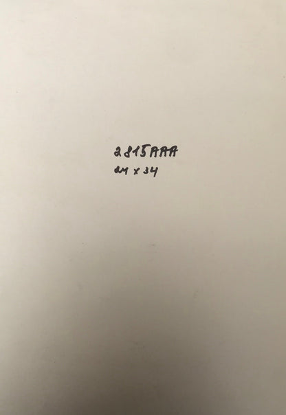 Watercolor painting King on horseback Alexander Arkadievich Litvinov