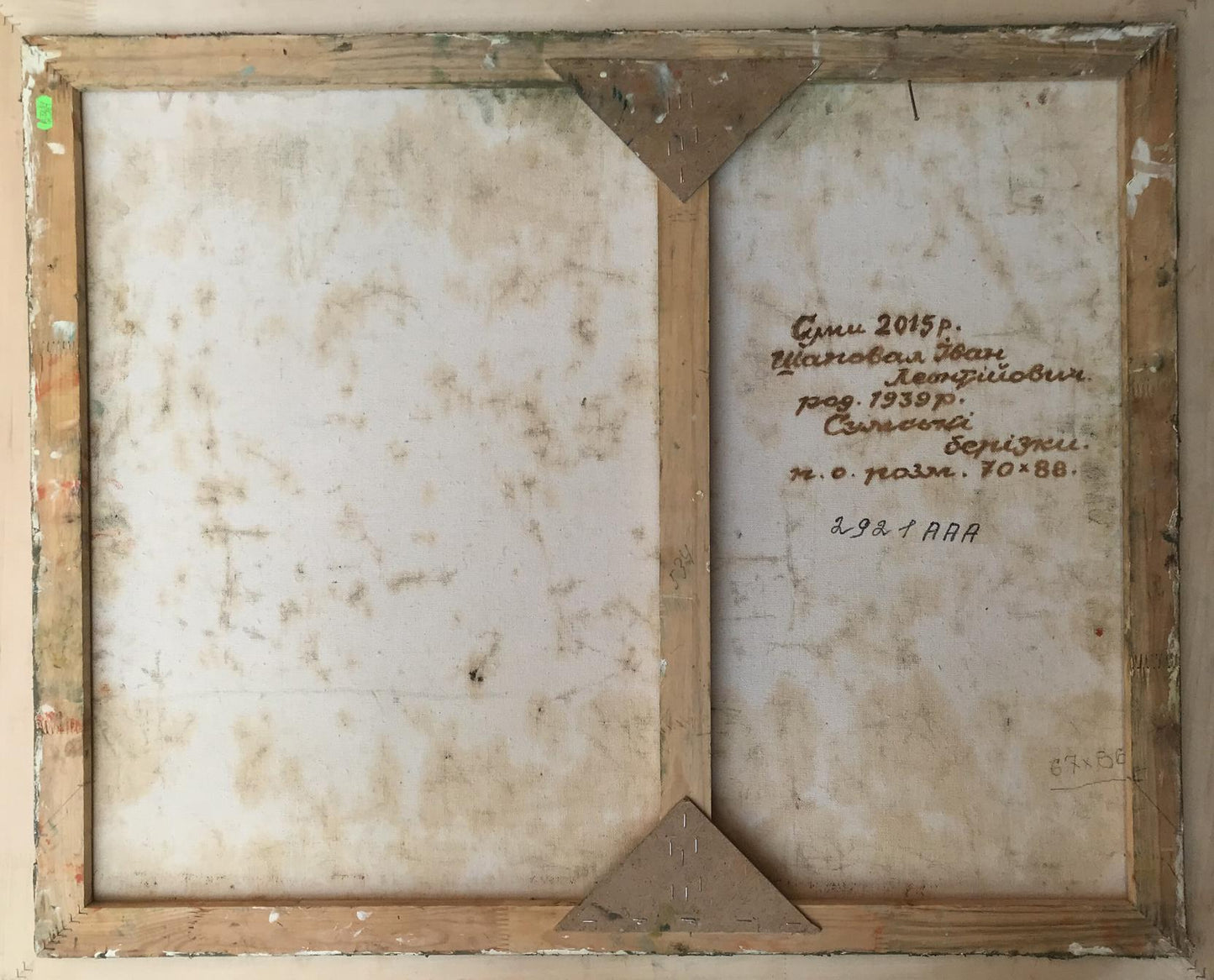 Ivan Leontyevich Shapoval's artwork features the serene beauty of Sumy's birches in oil