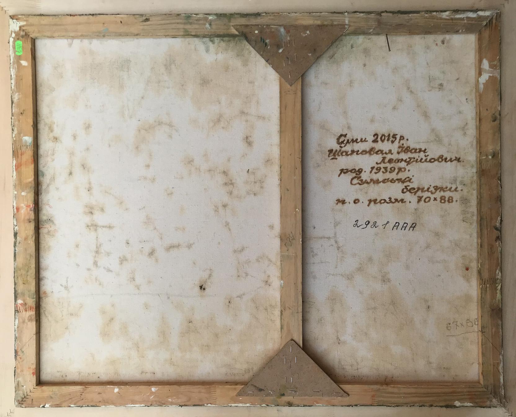 Ivan Leontyevich Shapoval's artwork features the serene beauty of Sumy's birches in oil