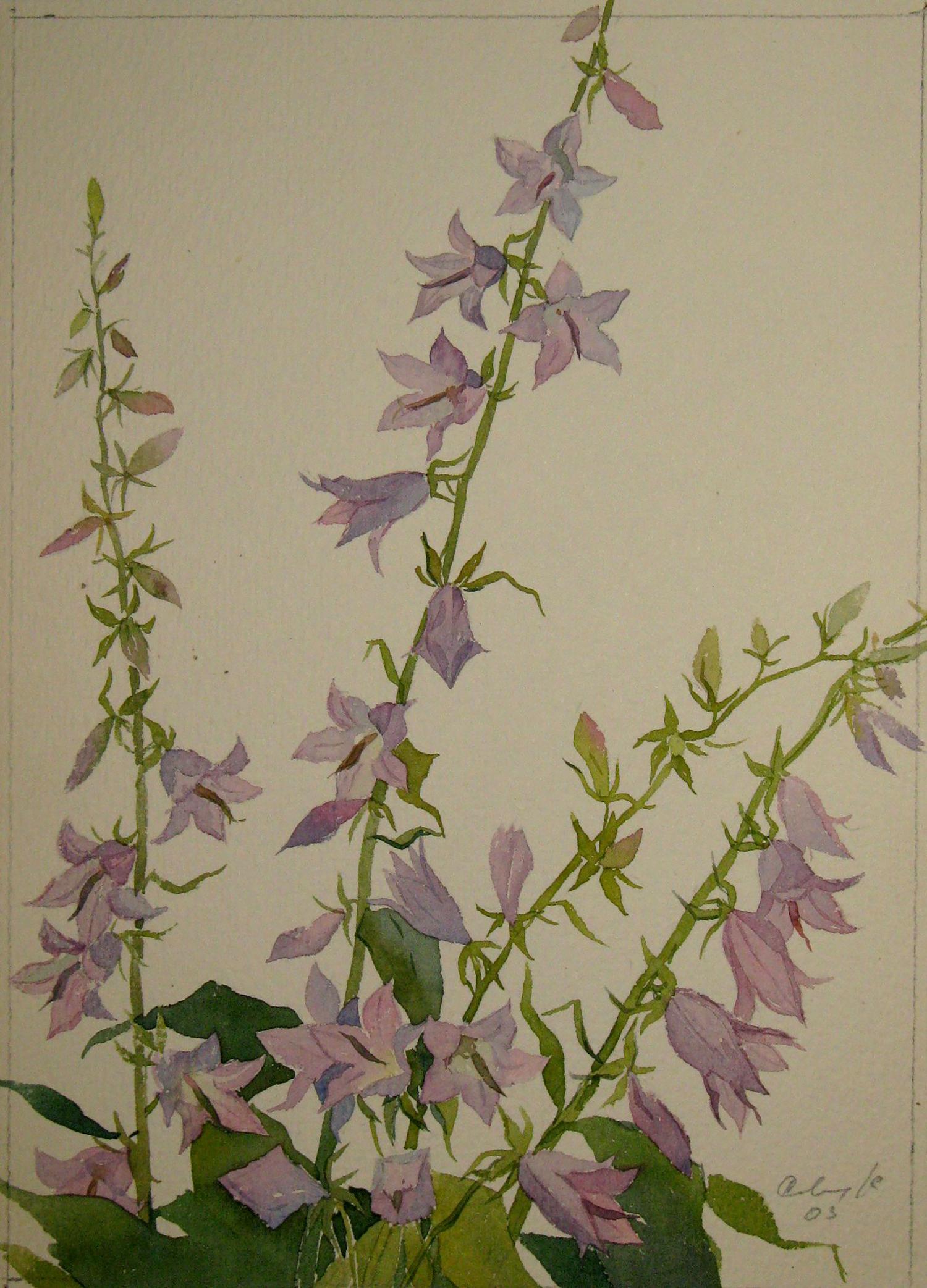 Watercolor painting Bells Savenets Valery