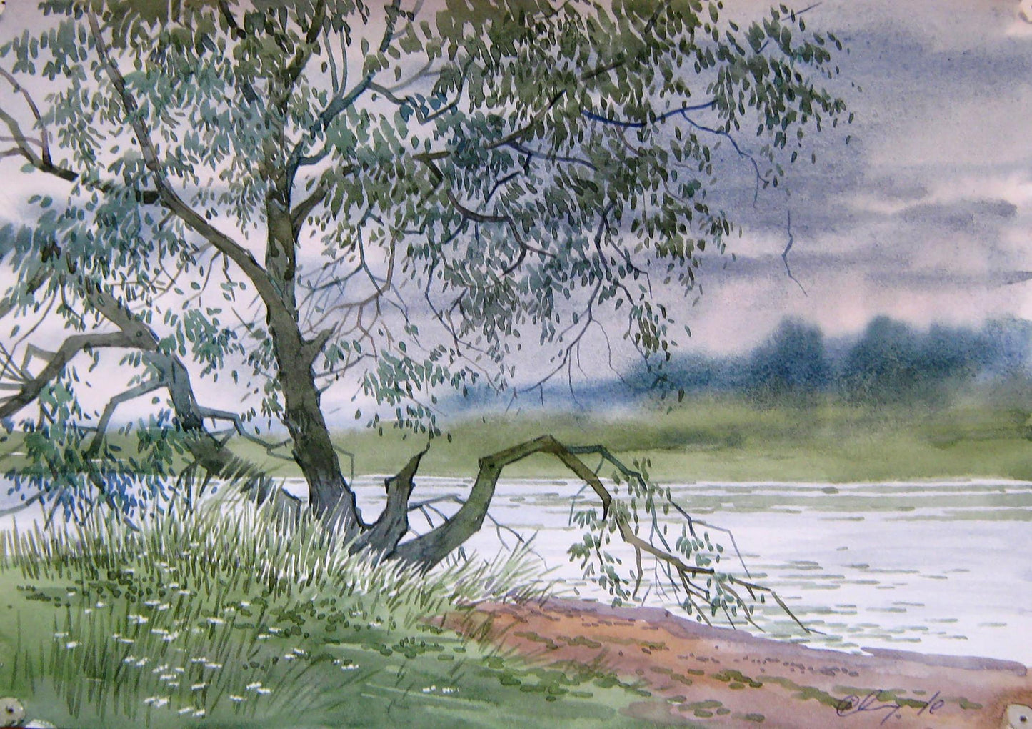 Watercolor painting Old tree Savenets Valery