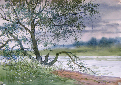 Watercolor painting Old tree Savenets Valery
