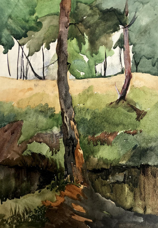 Watercolor painting Rest in the woods Unknown artist
