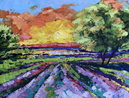 Oil painting Sunset in the field V. Zadorozhnya