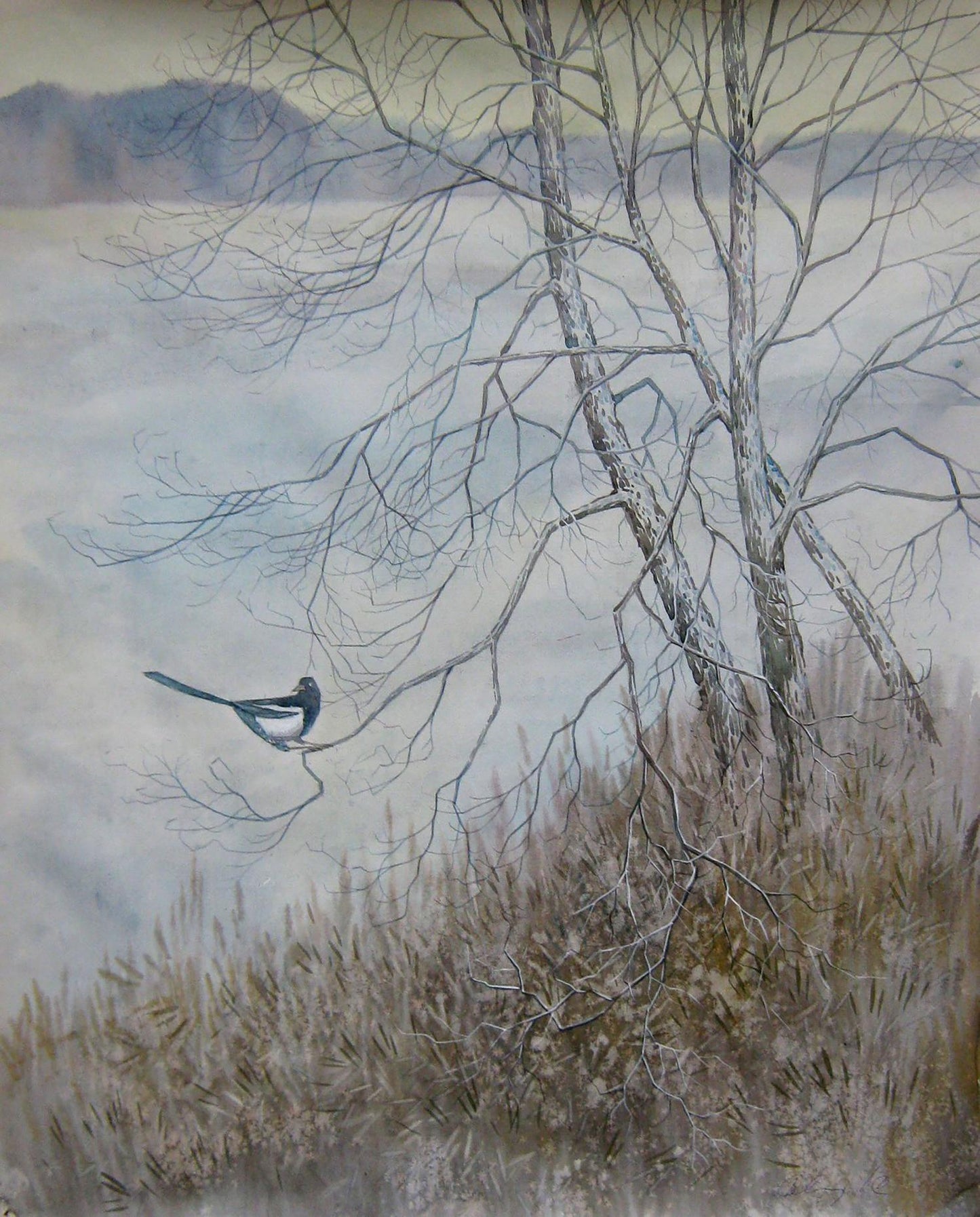 Watercolor painting Magpie on bare branches Valery Savenets