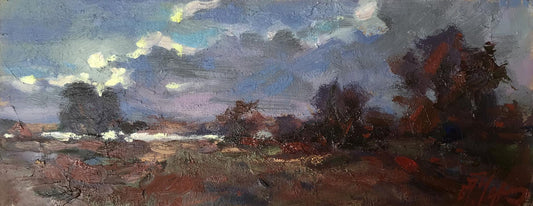 Oil painting The last rays of the sun Alexander Cherednichenko