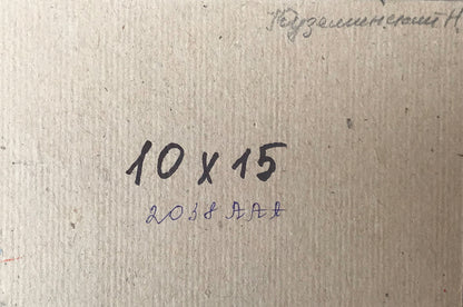 Oil painting City streets Kuzeminsky Nikolay Borisovich