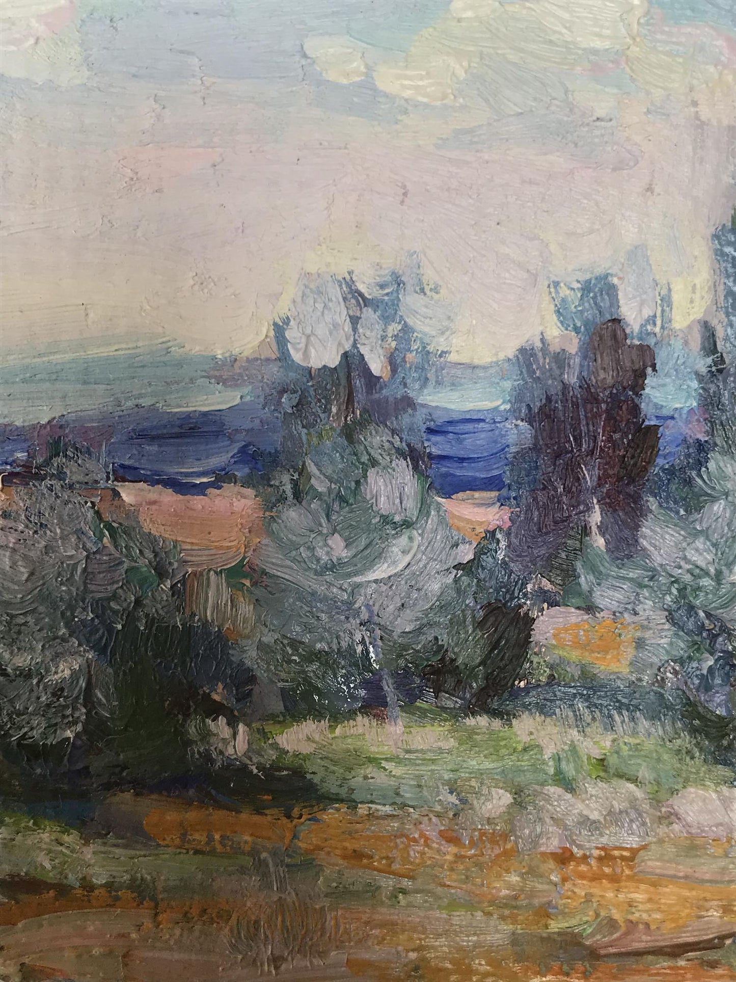 Oil painting Kakhovka reservoir Kuzeminsky Nikolay Borisovich